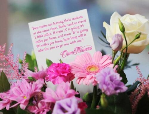 Flower Gifts