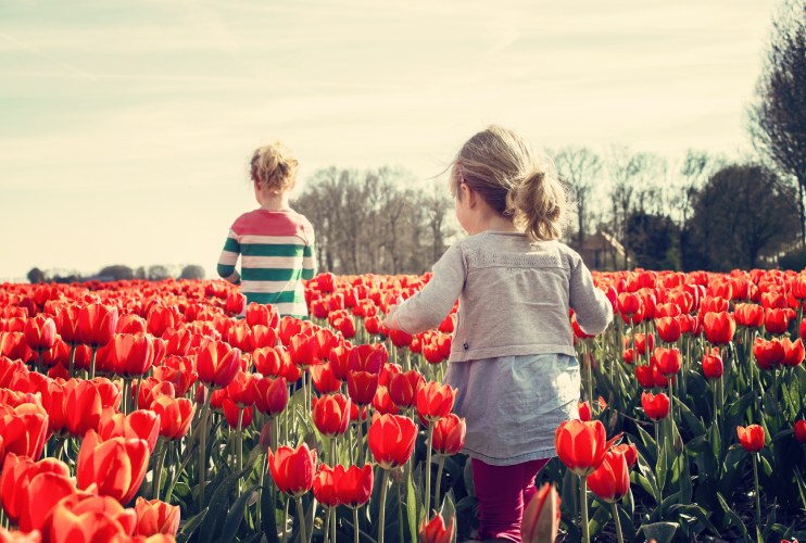 people should own flowers ownflowers.com people should own flowers