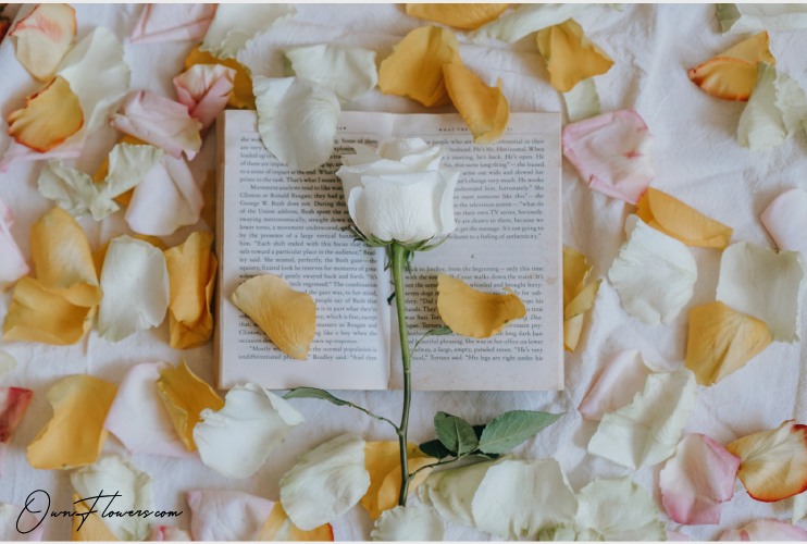 The Symbol Of Love And Passion In Literature OwnFlowers Own_Flowers The Symbol Of Love And Passion In Literature