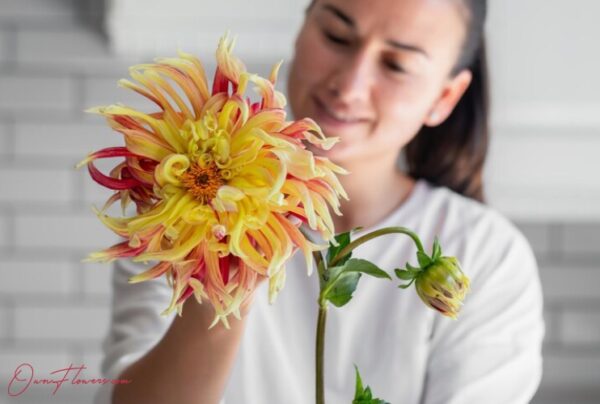 OwnFlowers.com Own_Flowers Hospital flowers visits