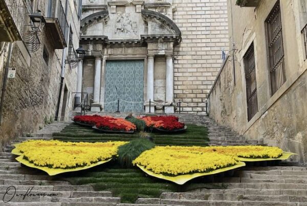 Temps De Flors