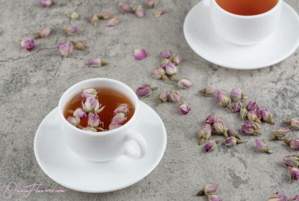 OwnFlowers.com Own_Flowers Rosa Canina Tea