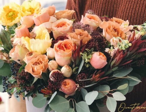 Types Of Roses