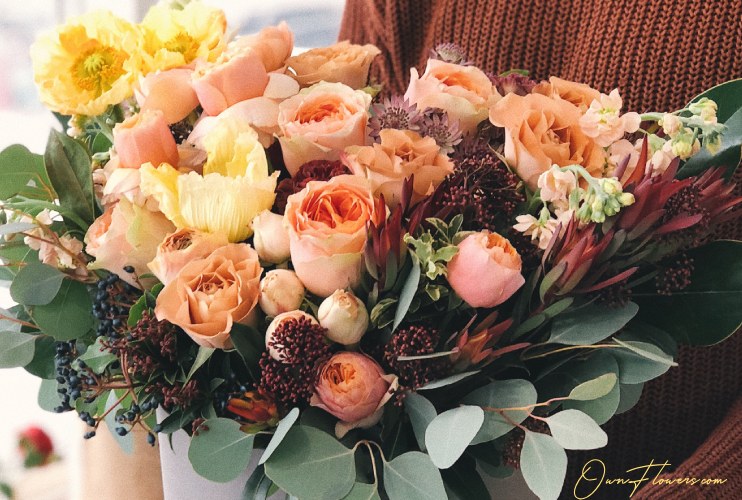OwnFlowers.com Own_Flowers Types Of Roses